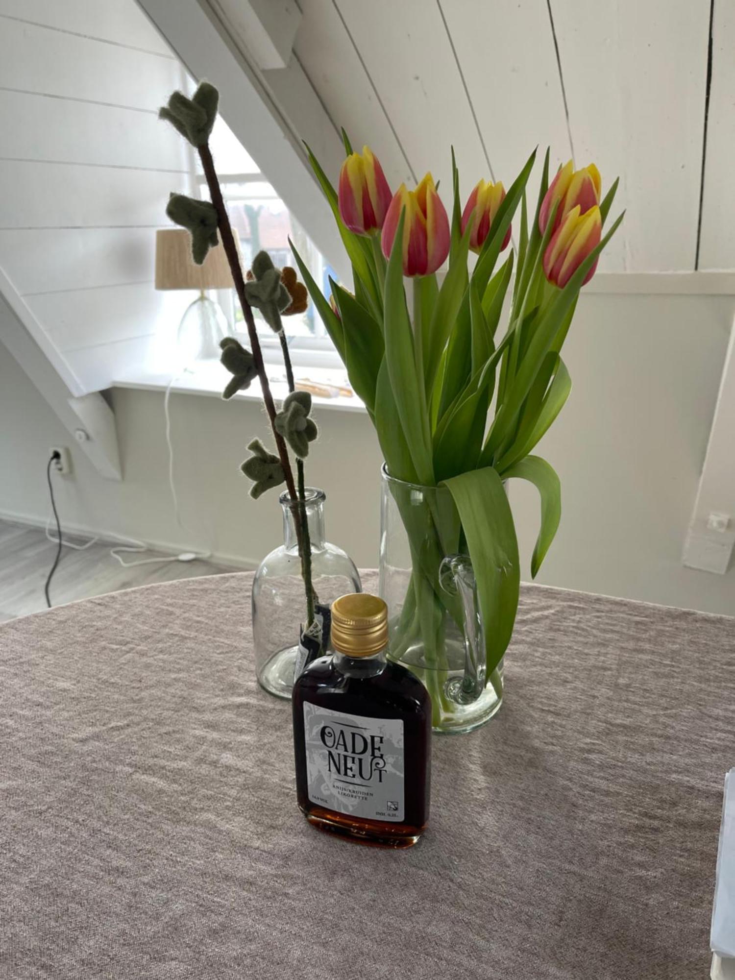 Bij Risje Dorp Apartment Ballum Bagian luar foto